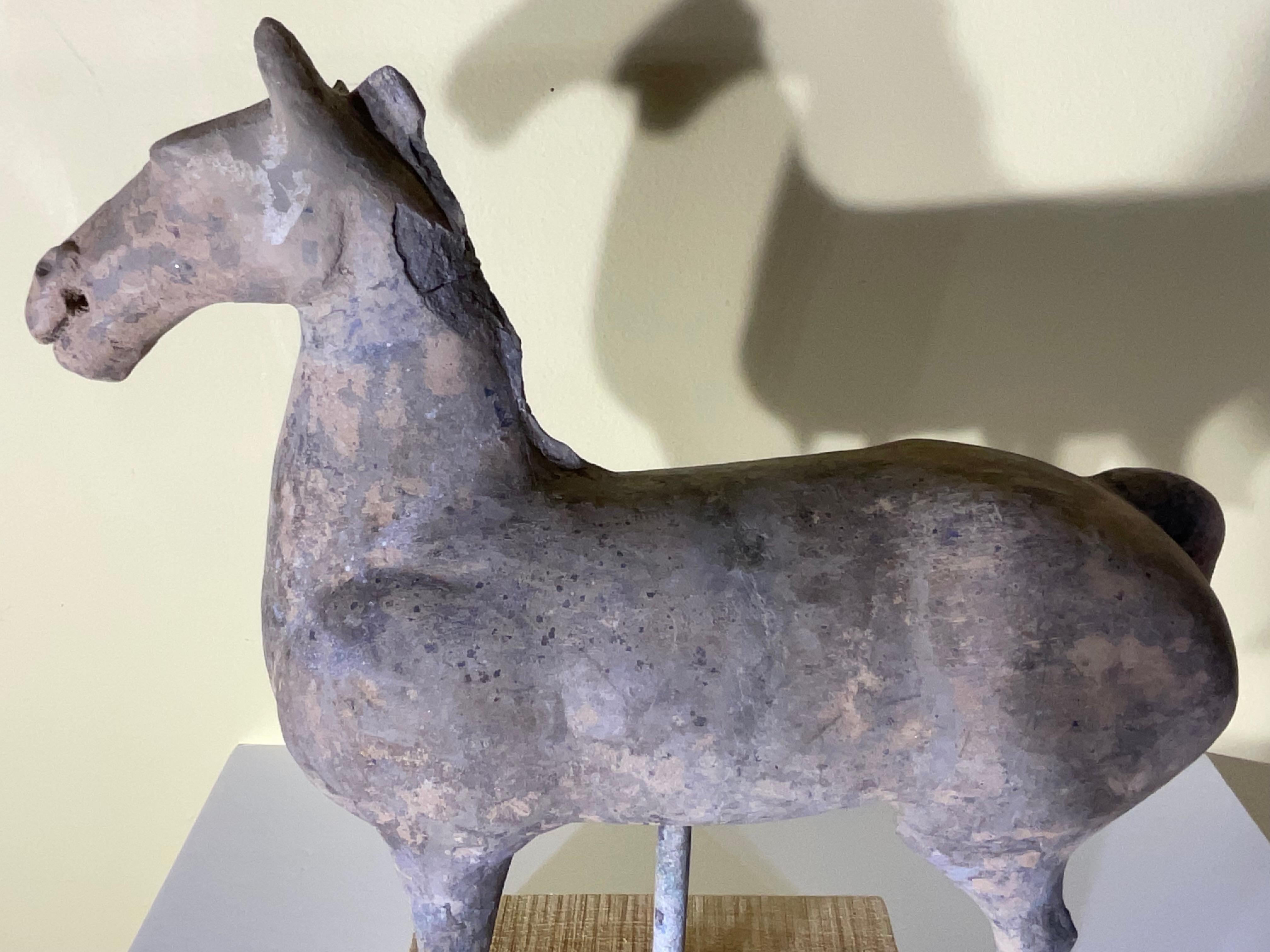 Exquisito  Caballo de cerámica de la dinastía Han Hecho a mano en venta