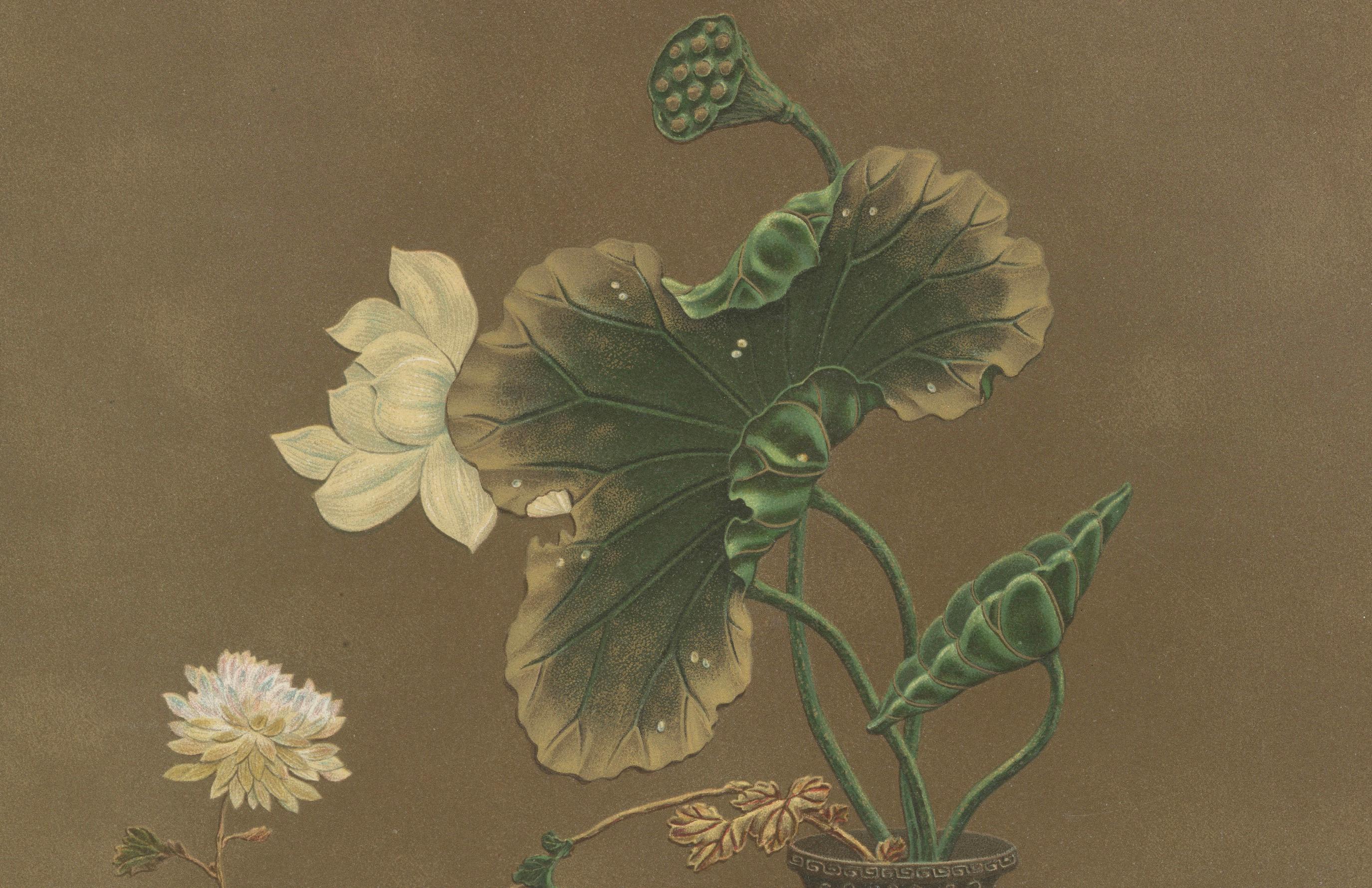 Exquisite handkolorierte Lithographie japanischer dekorativer Kunst, 1884 im Zustand „Gut“ im Angebot in Langweer, NL