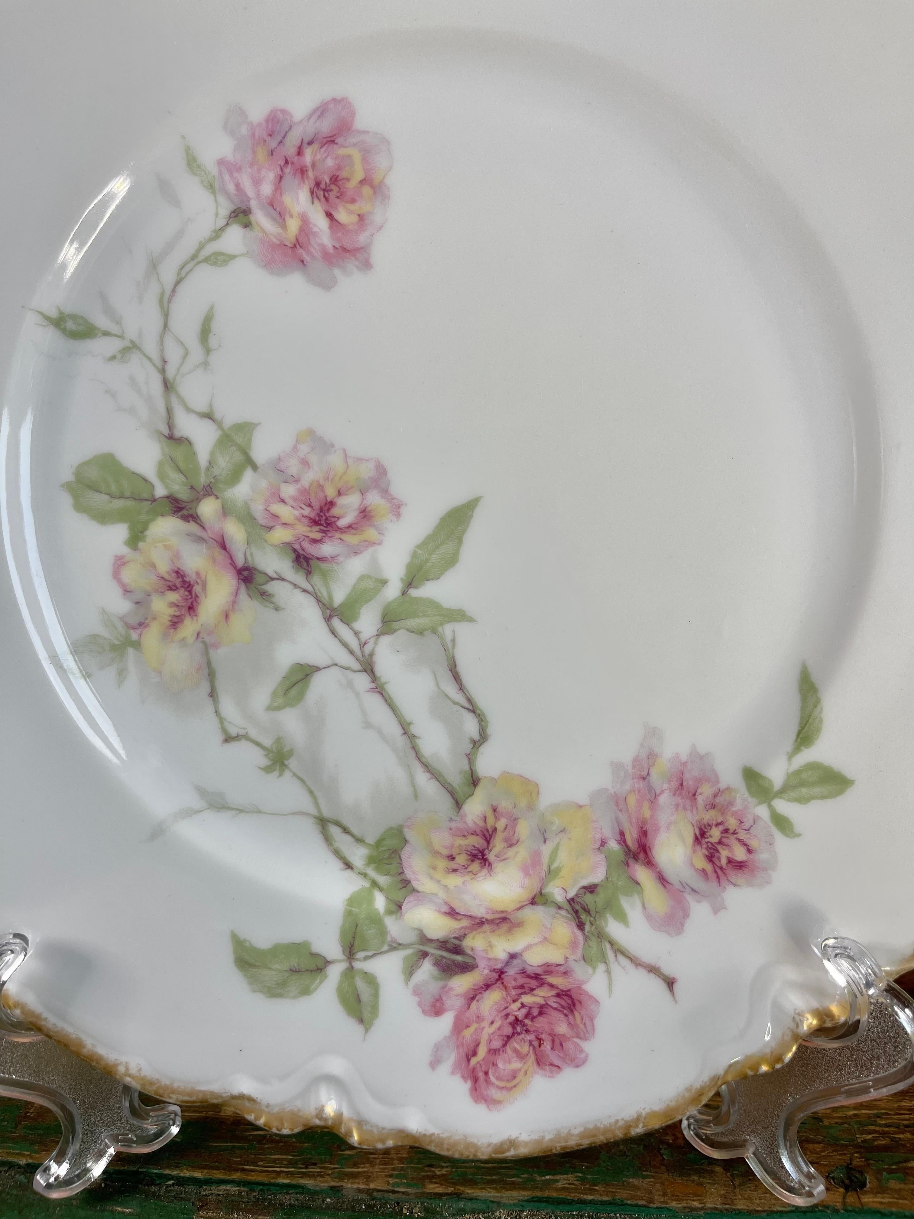 Exquisita Vajilla de Porcelana Haviland Limoges 