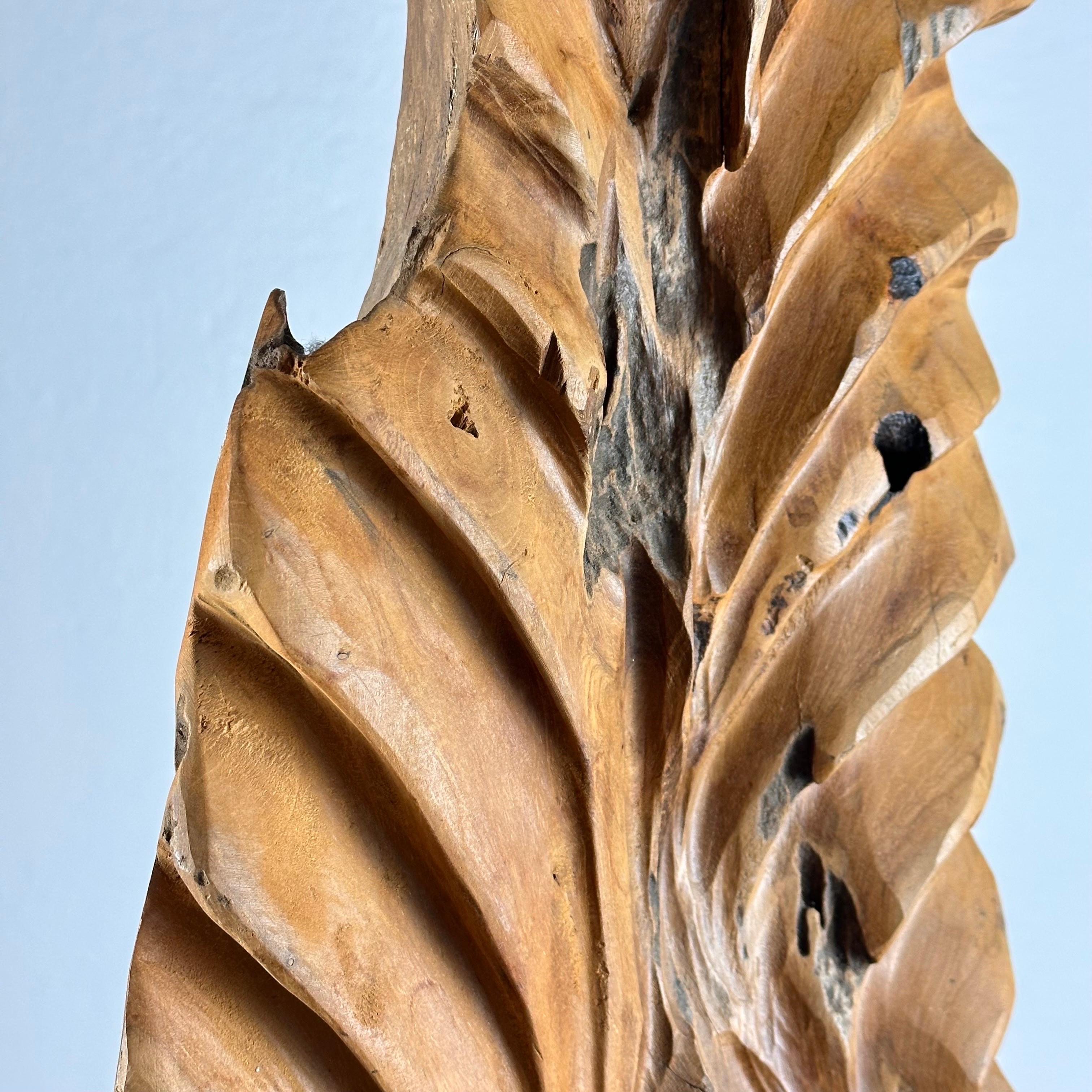Magnifique sculpture abstraite italienne phytomorphe en frêne naturel, années 1960 en vente 3