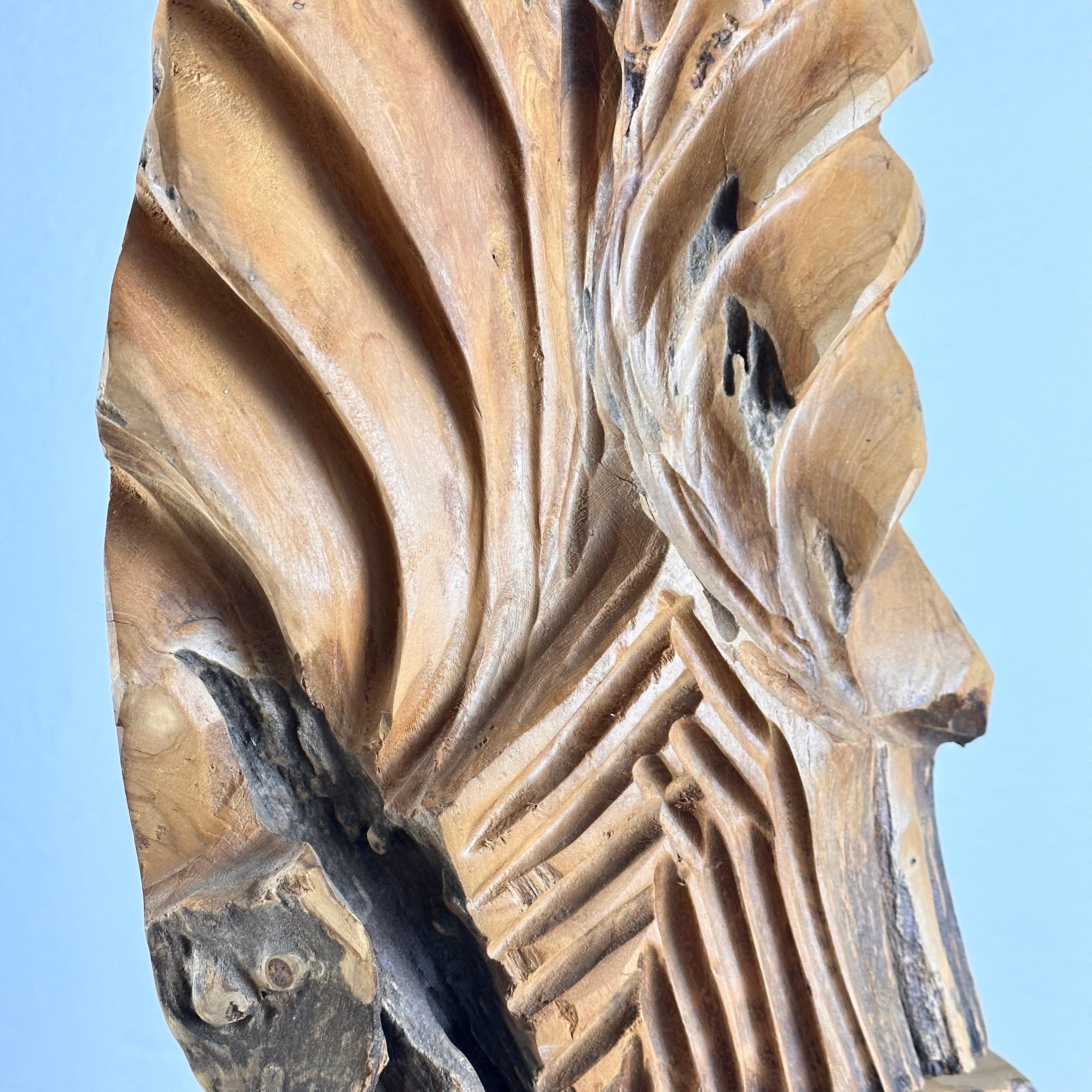 Exquisite Italian Phytomorphic Abstract Sculpture in Natural Ash, 1960s For Sale 5