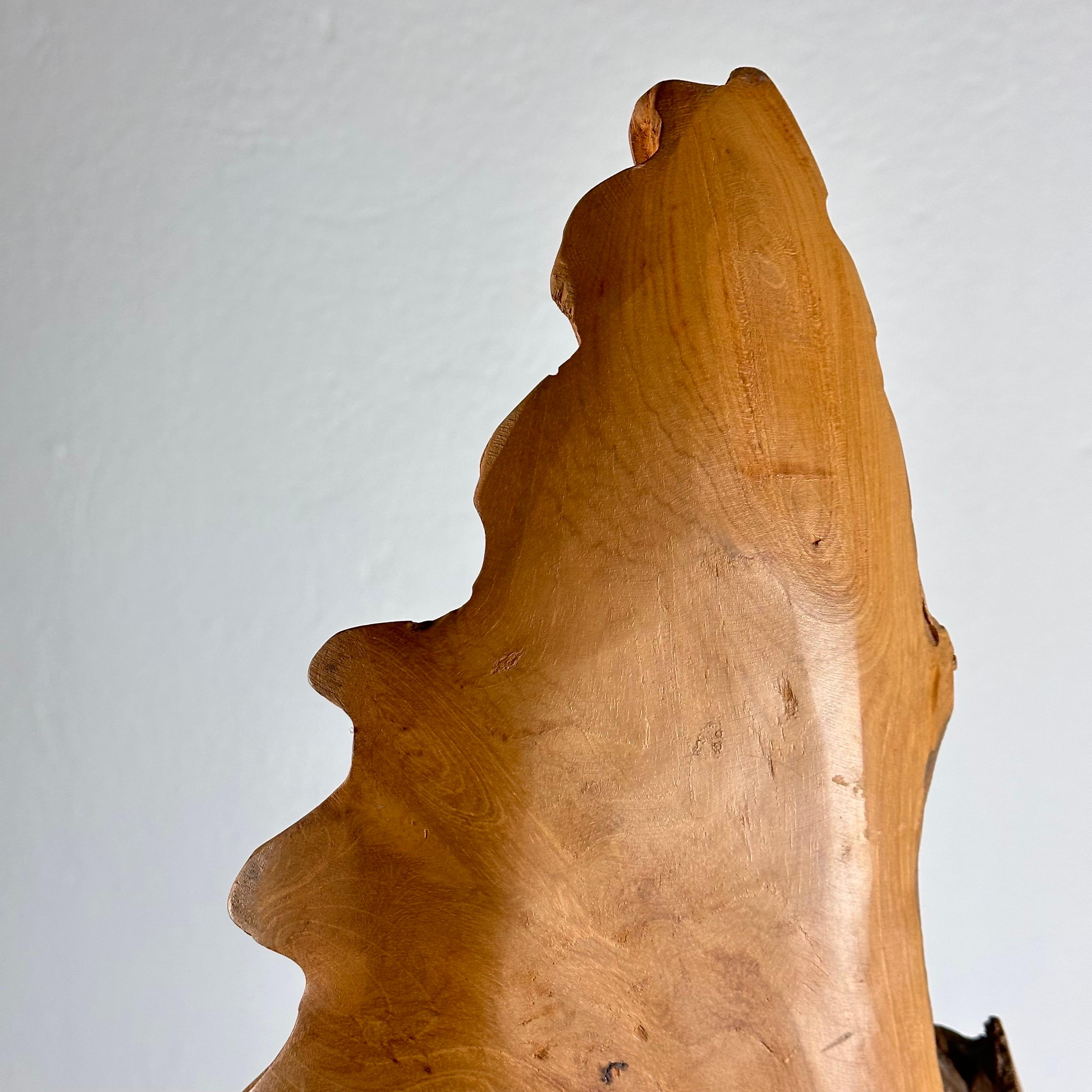 Exquisite Italian Phytomorphic Abstract Sculpture in Natural Ash, 1960s For Sale 10
