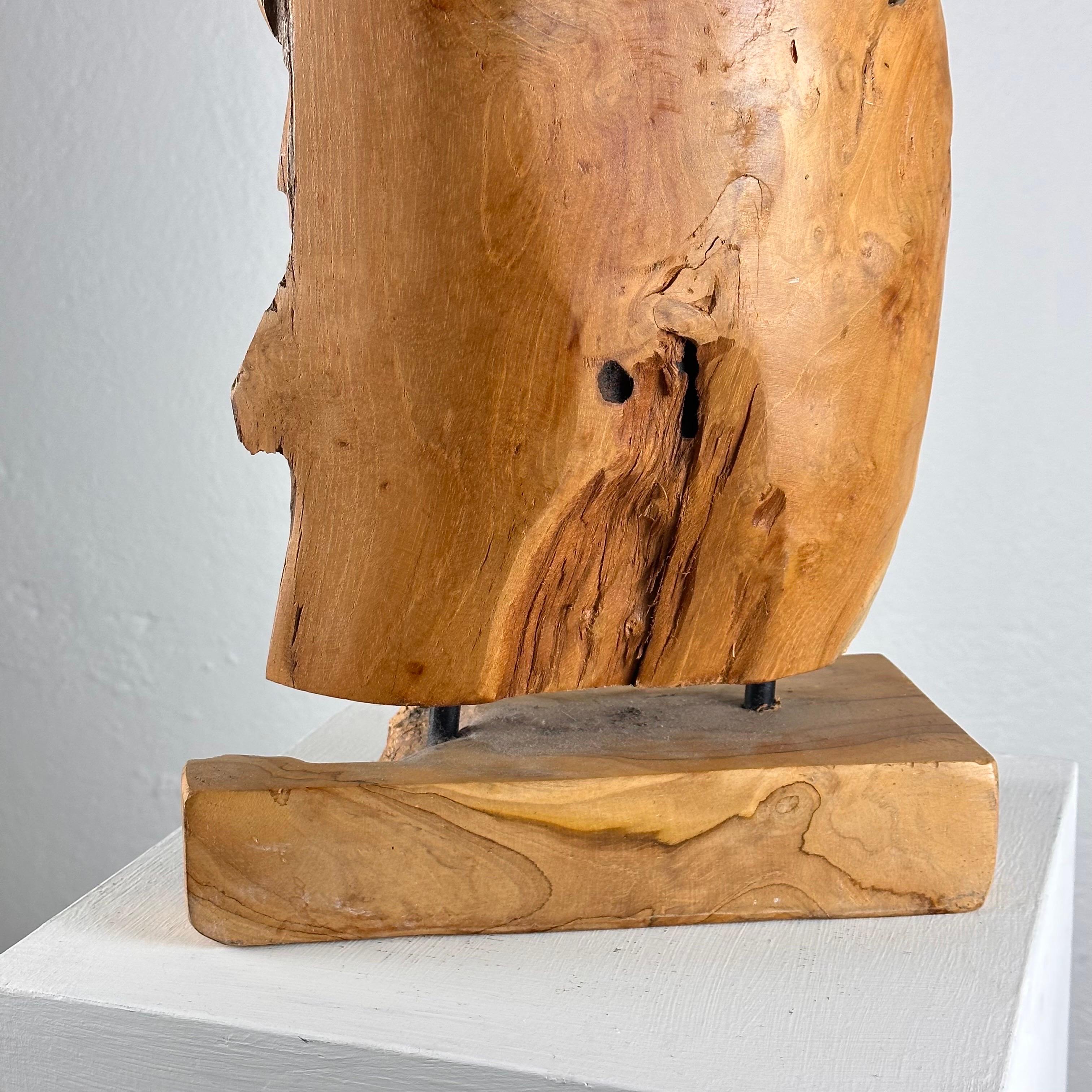 Exquisite Italian Phytomorphic Abstract Sculpture in Natural Ash, 1960s For Sale 12