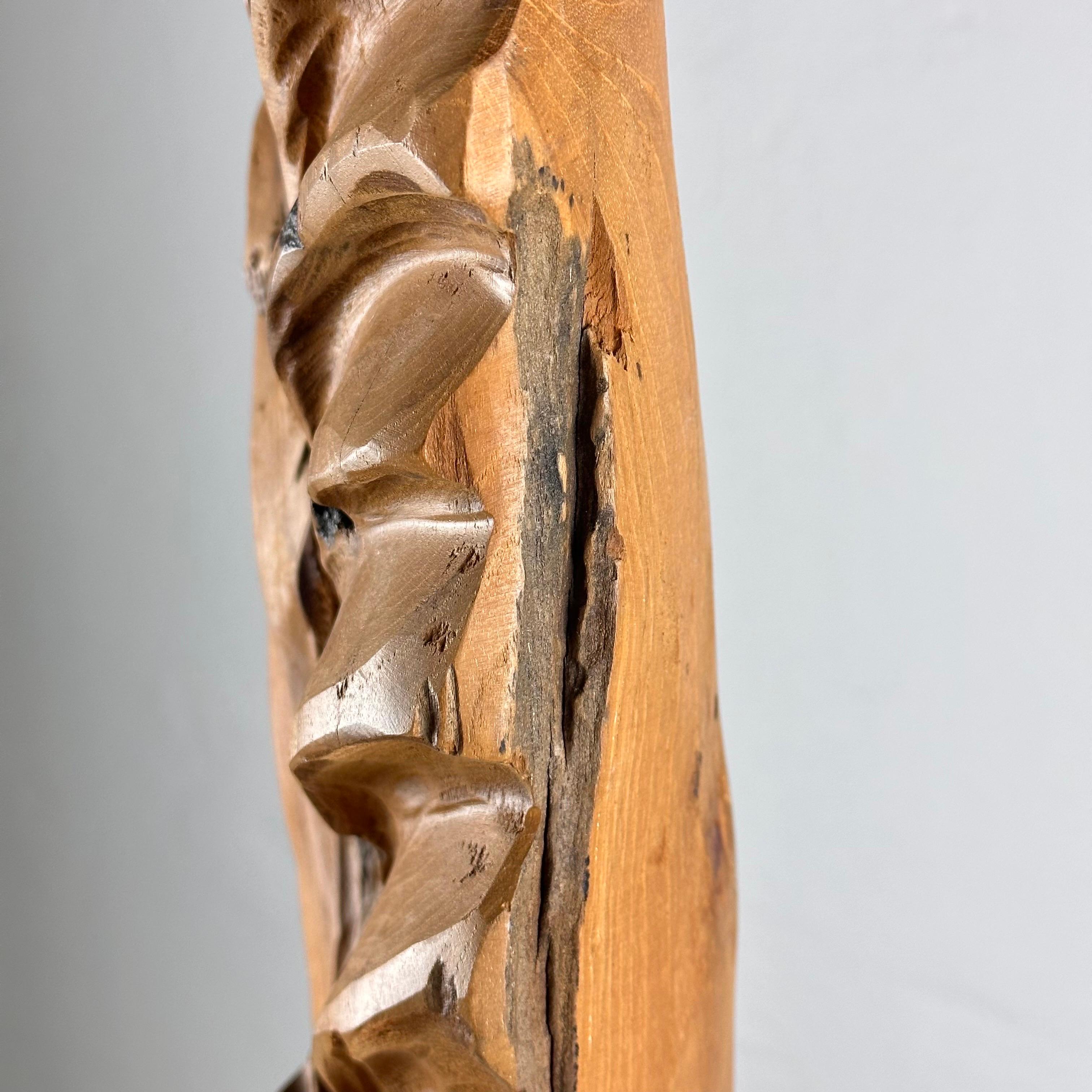Exquisite Italian Phytomorphic Abstract Sculpture in Natural Ash, 1960s For Sale 13