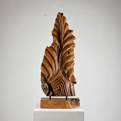 Exquisita escultura abstracta fitomorfa italiana en fresno natural, años 60