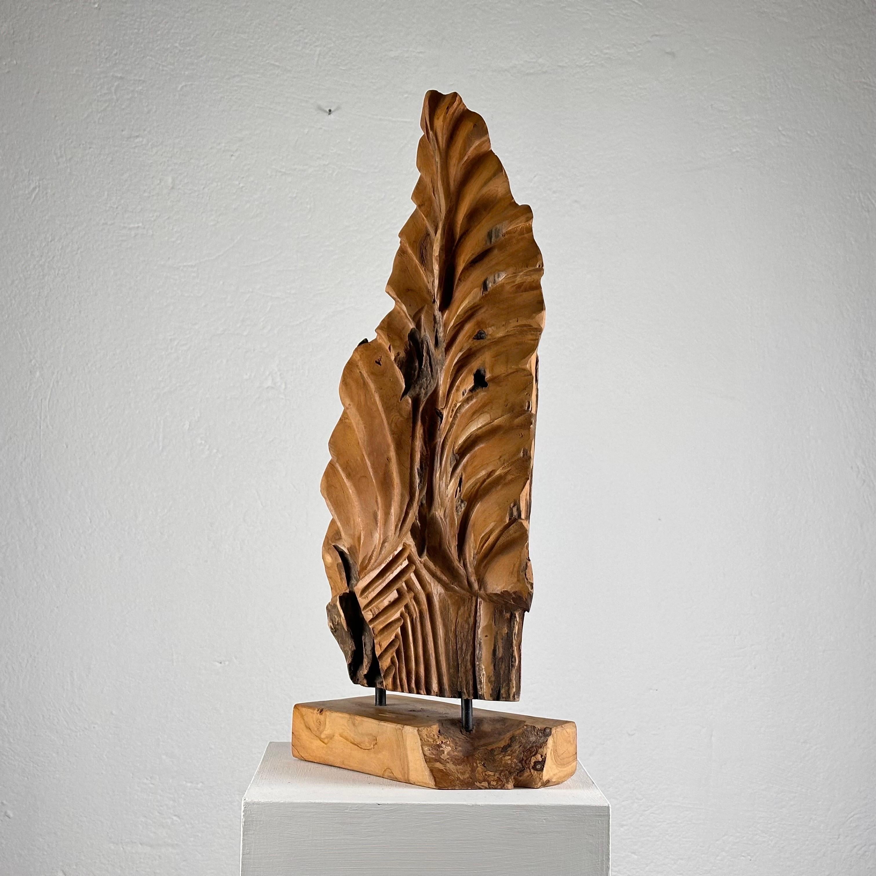 Mid-Century Modern Exquisite Italian Phytomorphic Abstract Sculpture in Natural Ash, 1960s For Sale