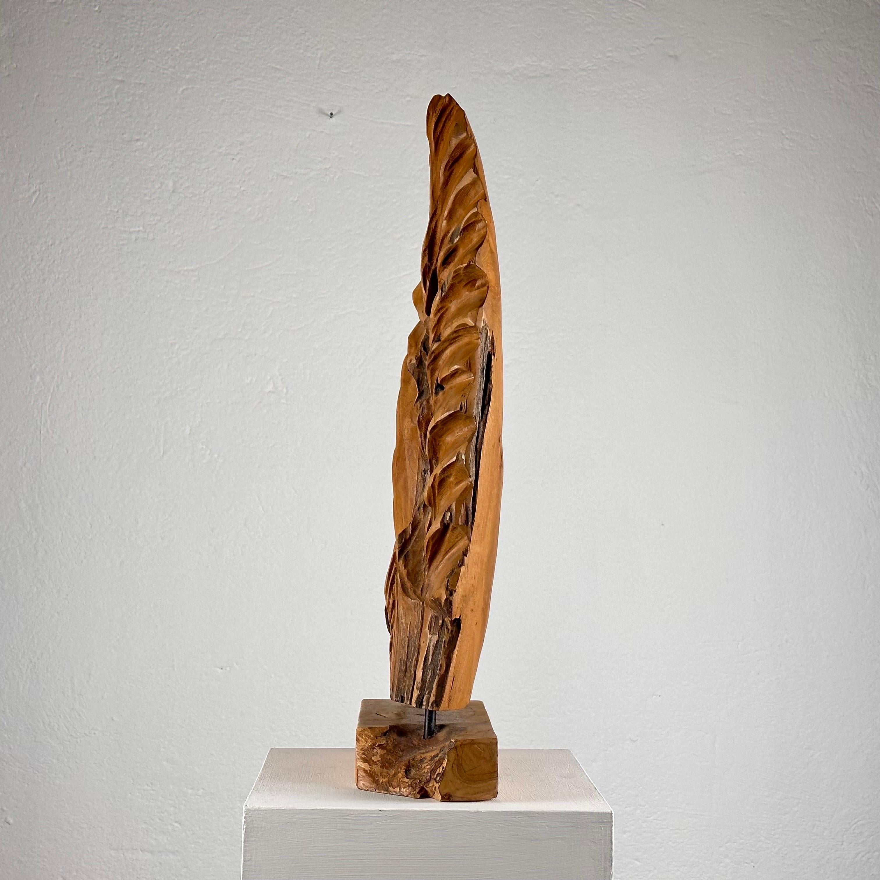 Hand-Carved Exquisite Italian Phytomorphic Abstract Sculpture in Natural Ash, 1960s For Sale