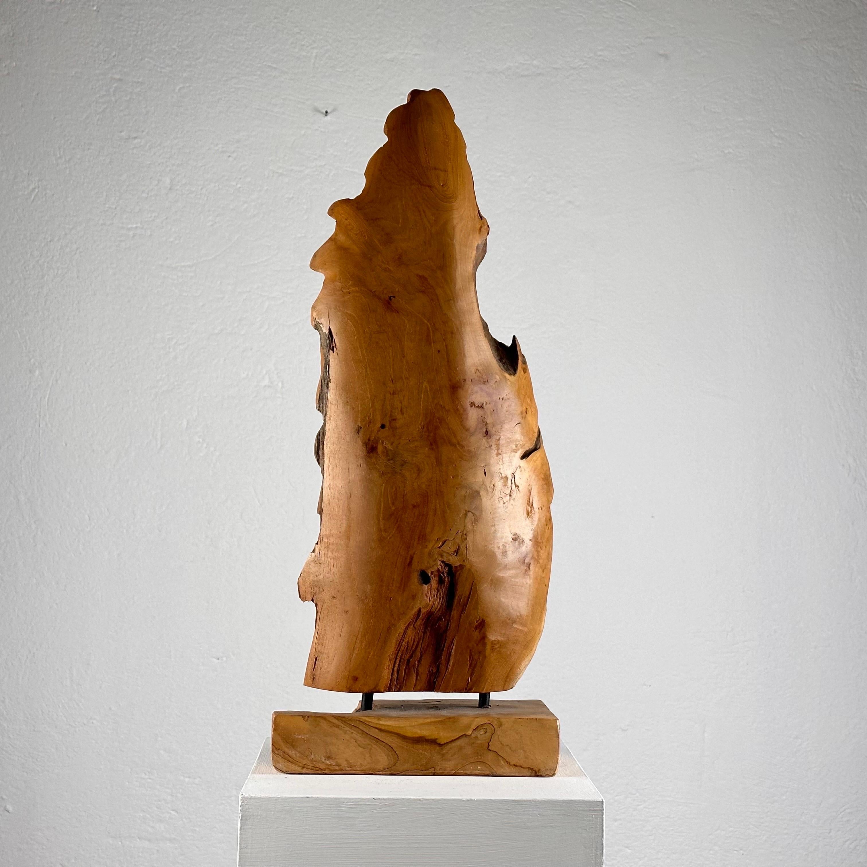 Mid-20th Century Exquisite Italian Phytomorphic Abstract Sculpture in Natural Ash, 1960s For Sale