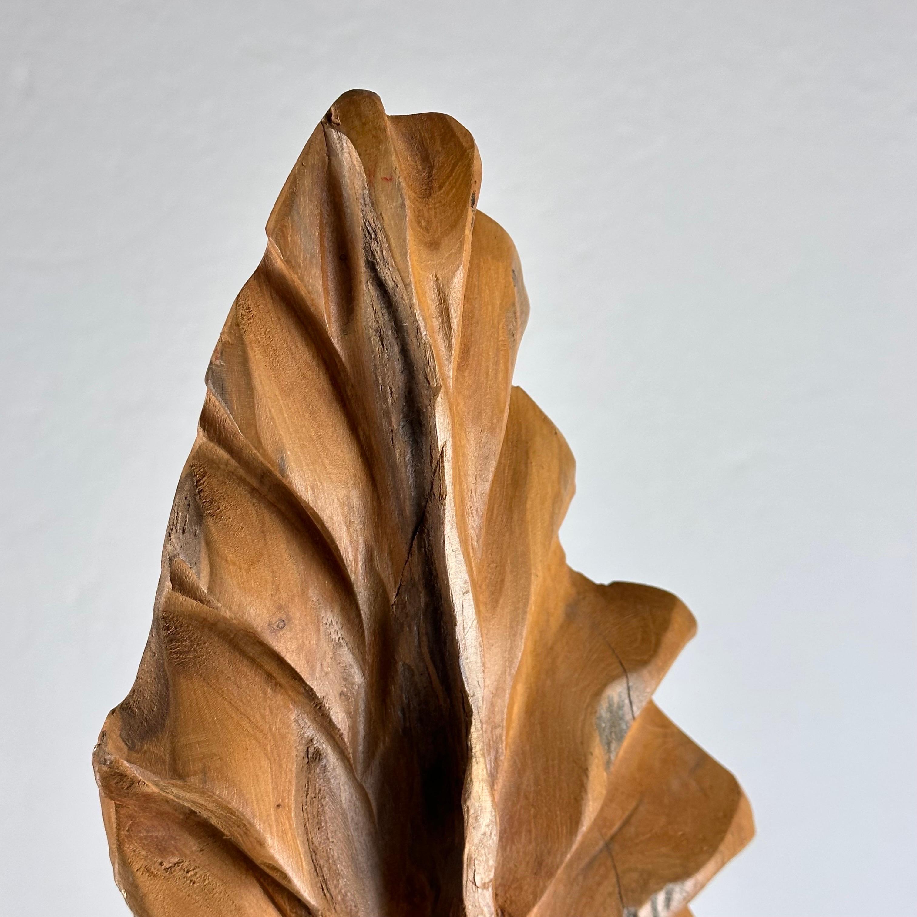 Exquisite Italian Phytomorphic Abstract Sculpture in Natural Ash, 1960s For Sale 2