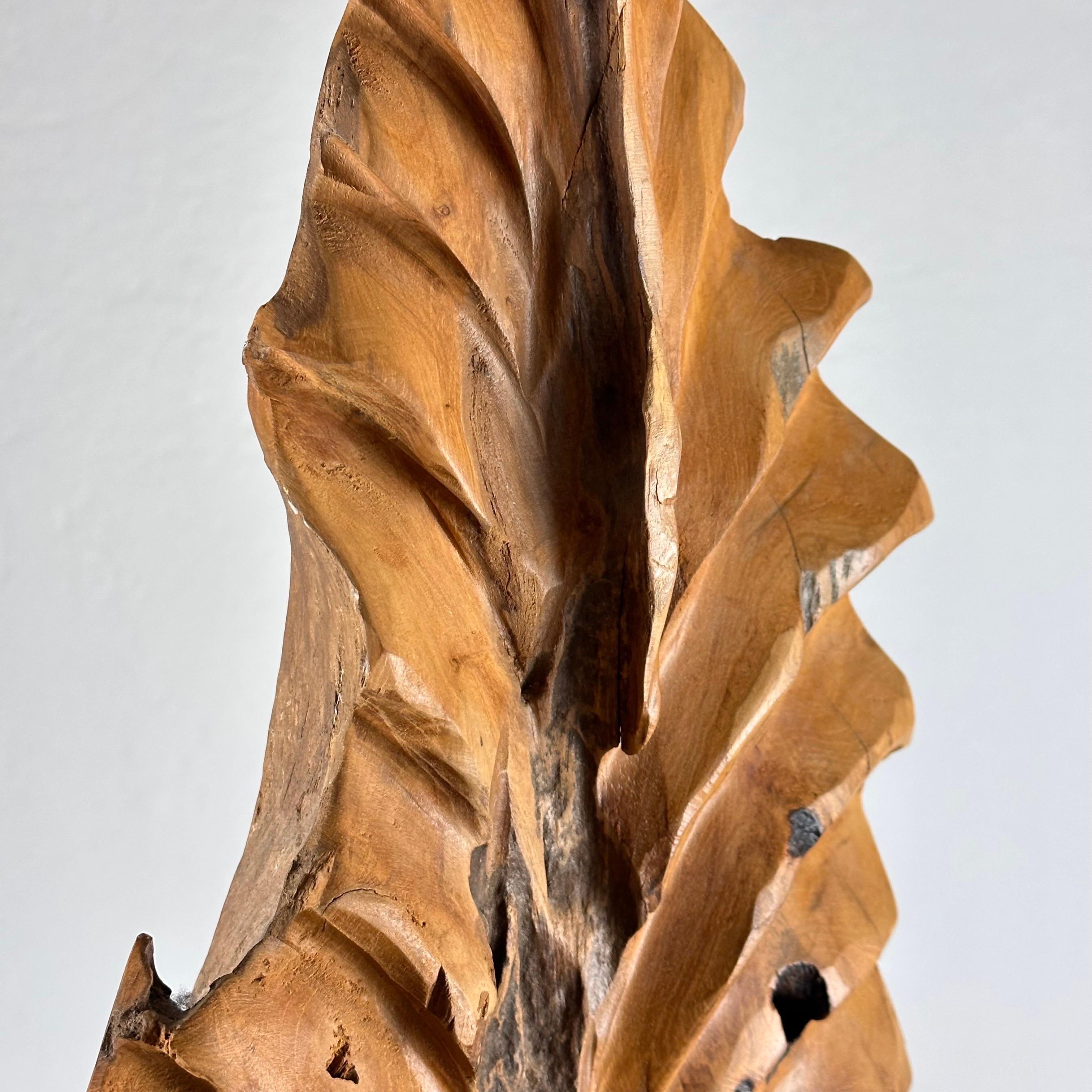 Magnifique sculpture abstraite italienne phytomorphe en frêne naturel, années 1960 en vente 2