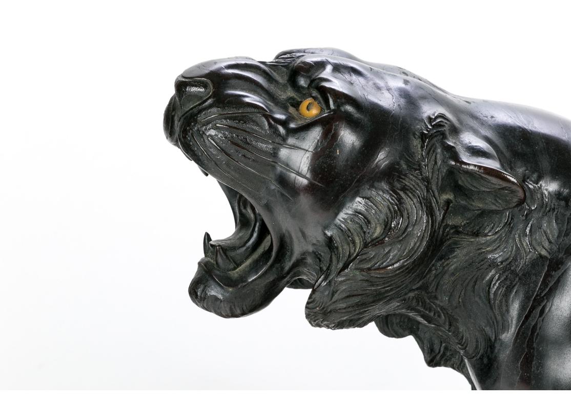 Un'ottima tigre giapponese in rame fuso, con una ricca patina marrone intenso, in posa difensiva con bocca aperta e coda rampante. I dettagli includono l'occhio in vetro giallo (uno mancante), la muscolatura stilizzata, le strisce posteriori e il