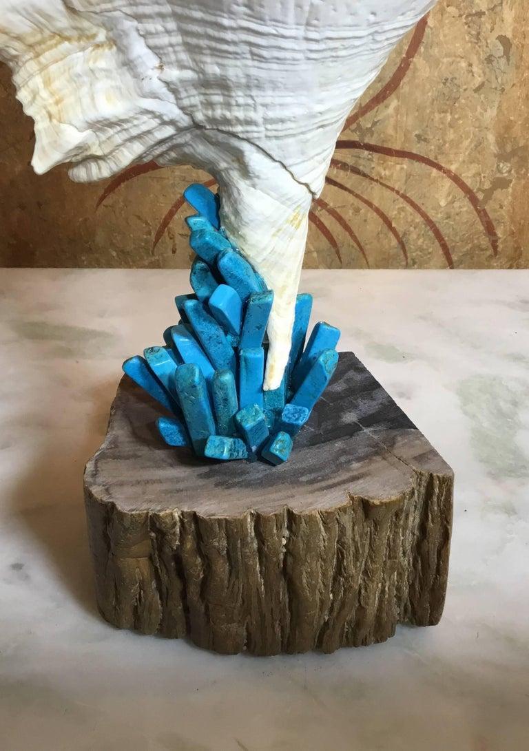 Squisite sculture di elementi Nature realizzate a mano da Joseph Malekan in vendita 4