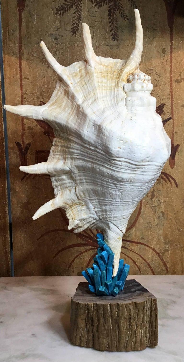 Squisite sculture di elementi Nature realizzate a mano da Joseph Malekan in vendita 5