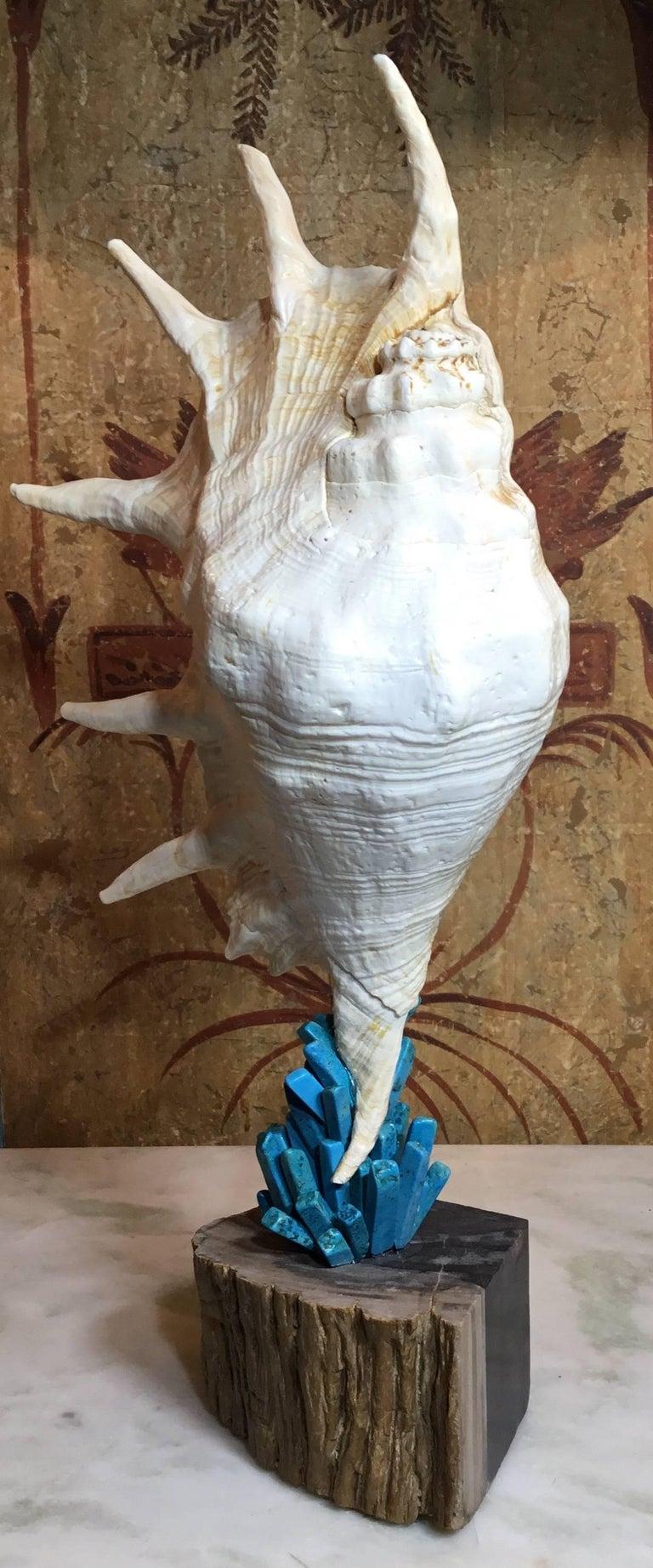 Squisite sculture di elementi Nature realizzate a mano da Joseph Malekan in vendita 6