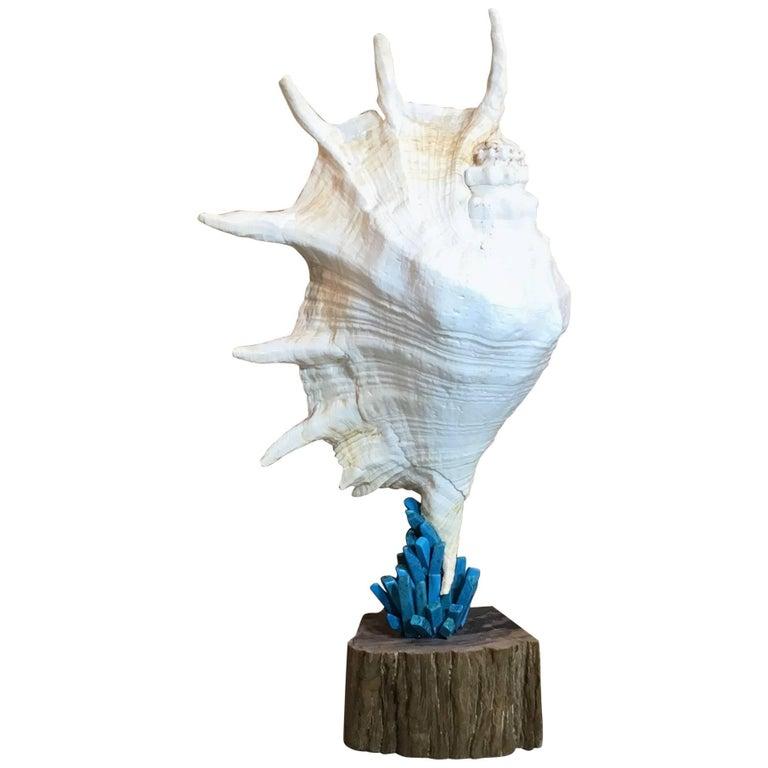 Squisite sculture di elementi Nature realizzate a mano da Joseph Malekan in vendita 8