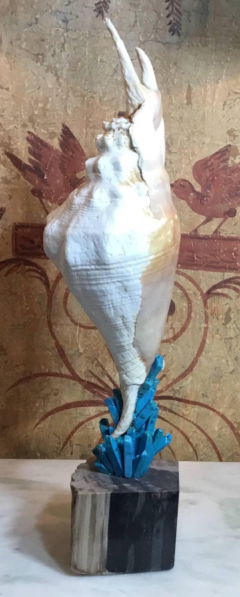 Squisite sculture di elementi Nature realizzate a mano da Joseph Malekan In condizioni discrete in vendita a Delray Beach, FL