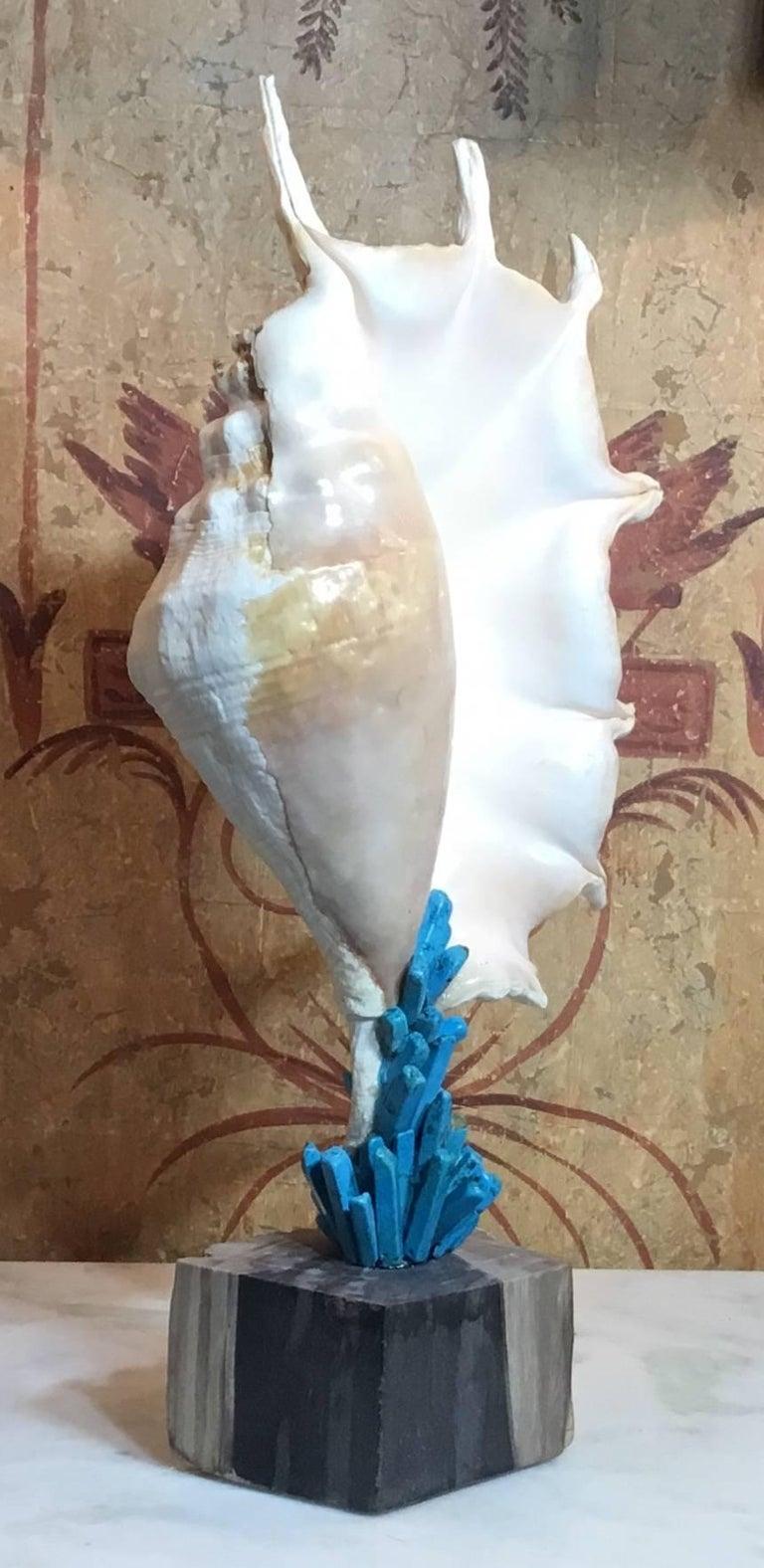 XXI secolo e contemporaneo Squisite sculture di elementi Nature realizzate a mano da Joseph Malekan in vendita