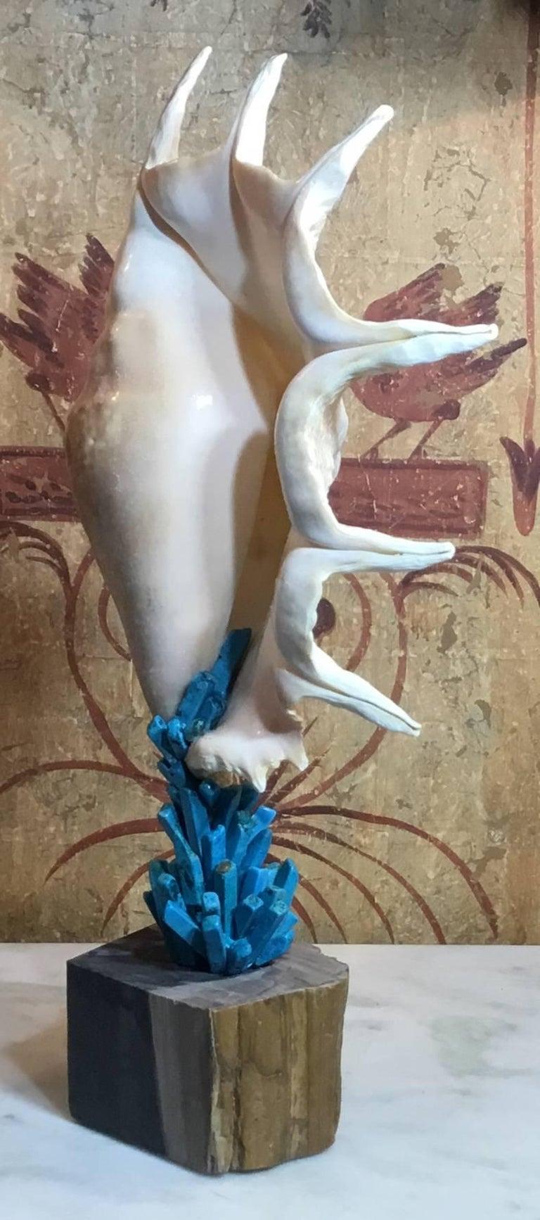 Squisite sculture di elementi Nature realizzate a mano da Joseph Malekan in vendita 2