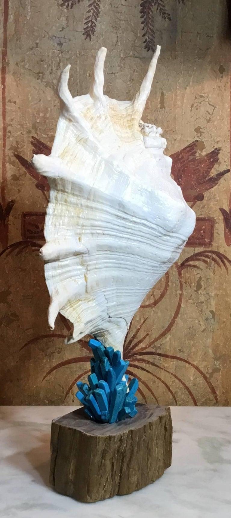 Squisite sculture di elementi Nature realizzate a mano da Joseph Malekan in vendita 3