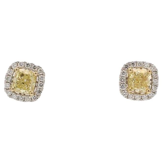 Fancy Vivid Yellow Diamond Stud Earrings (2 ct tw) at 1stDibs