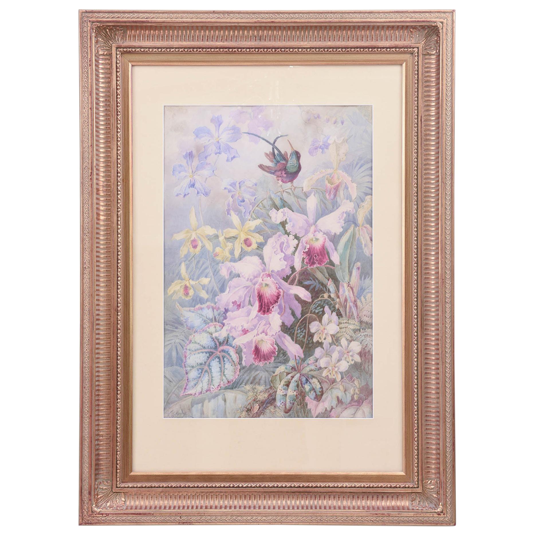 Exquisite Orchid & Hummingbird Watercolor by William Morley, Antique Oversize For Sale