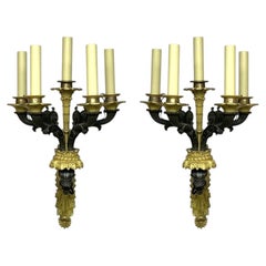 Exquisite Pair Of French Empire Black & Dore Bronze 5 Light Electrified Sconces