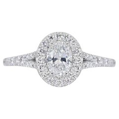 Exquisite Pave Halo Diamond Ring in 18K White Gold