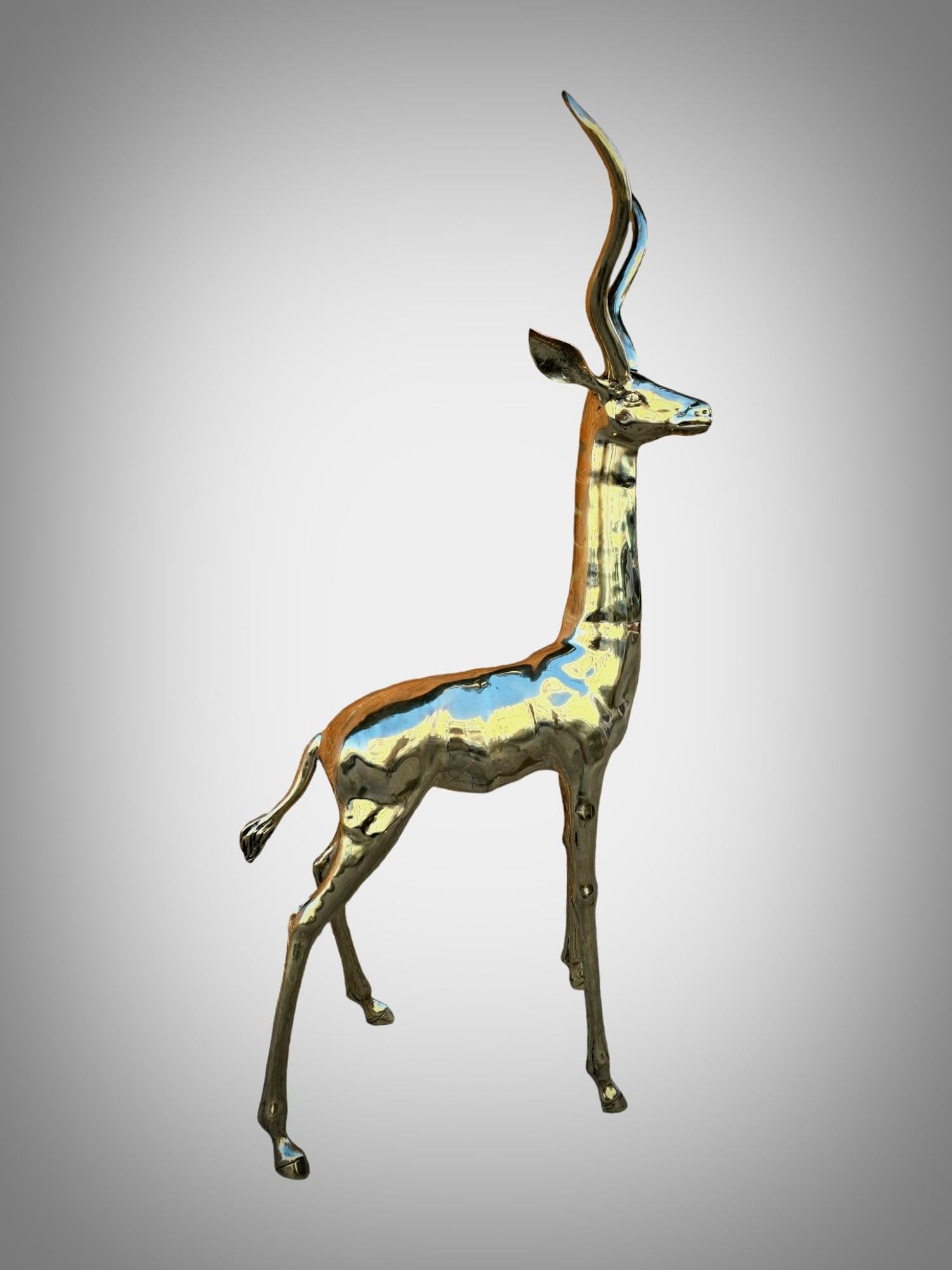 Exquisite polierte Bronze-Skulptur: Lebensgroße Antilope aus den 1950er Jahren im Angebot 8