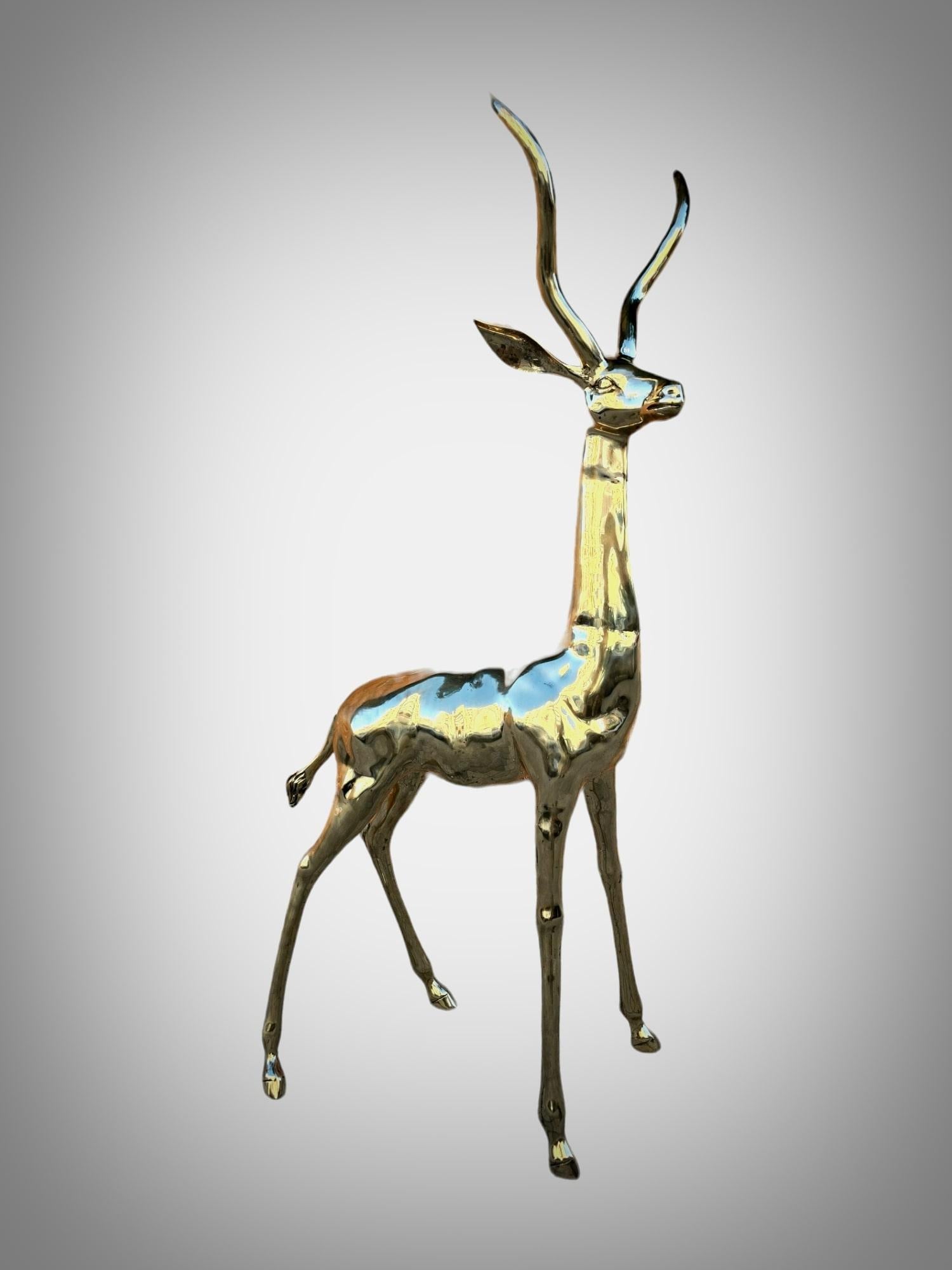 Exquisite polierte Bronze-Skulptur: Lebensgroße Antilope aus den 1950er Jahren im Angebot 9