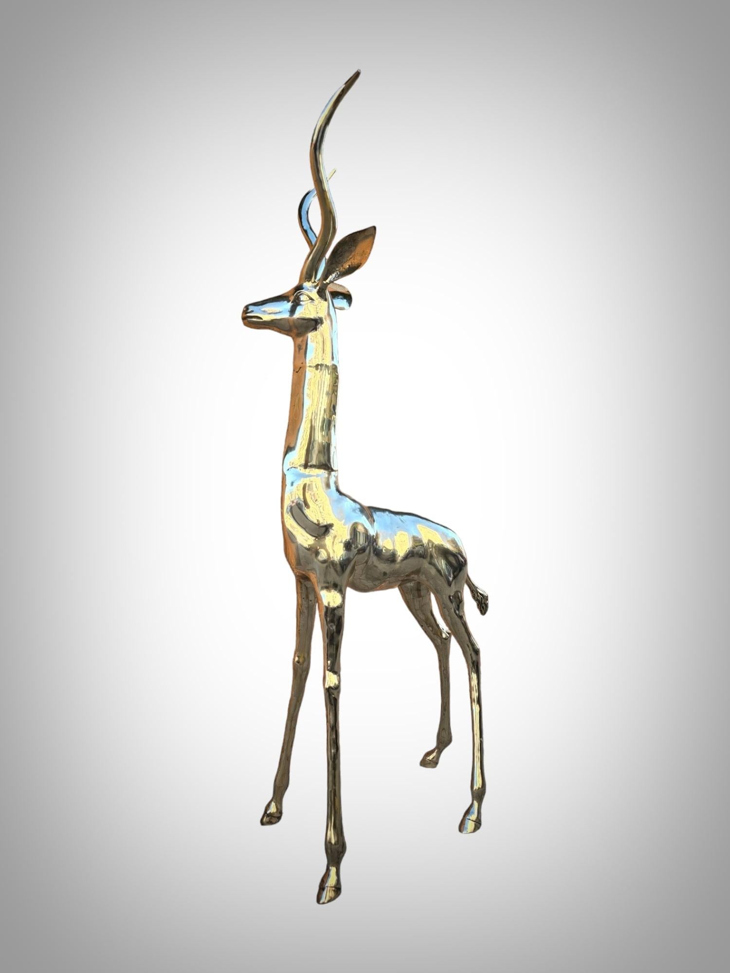Exquisite polierte Bronze-Skulptur: Lebensgroße Antilope aus den 1950er Jahren im Angebot 12