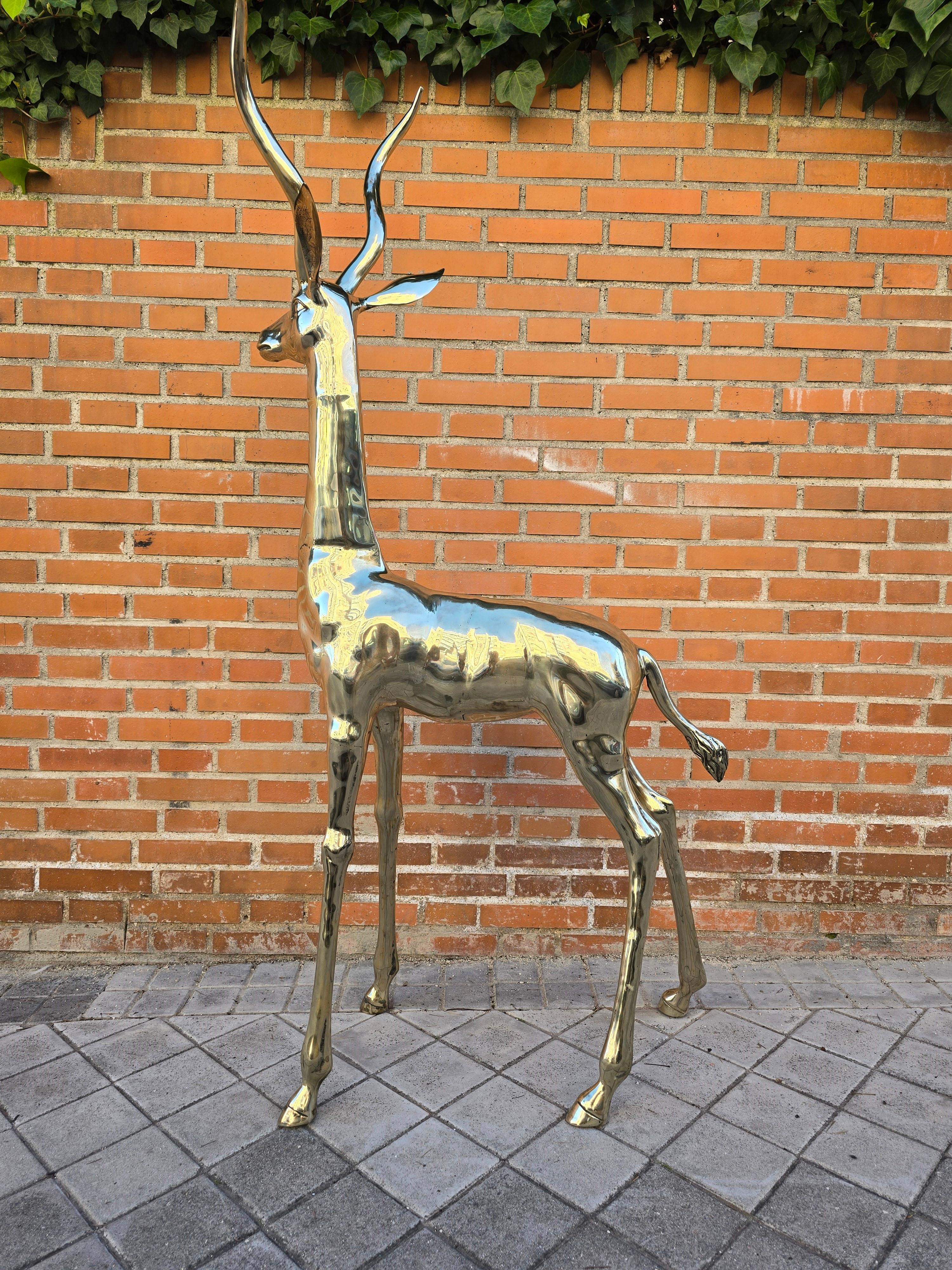 Diese atemberaubende polierte Bronzeskulptur fängt das majestätische Wesen und die ätherische Anmut einer Antilope in ihrem natürlichen Lebensraum ein. Dieses in den 1950er Jahren geschaffene Werk spiegelt die Eleganz der Kunst der Mitte des 20.