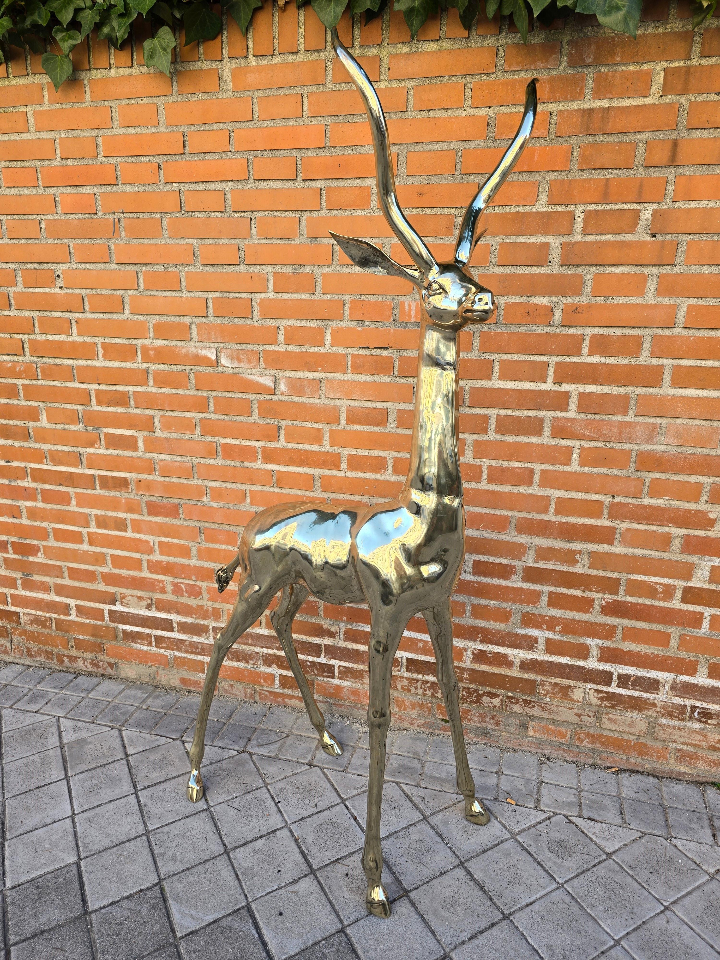 Exquisite Polished Bronze Sculpture: Lifesize Antelope from the 1950s In Good Condition For Sale In Madrid, ES