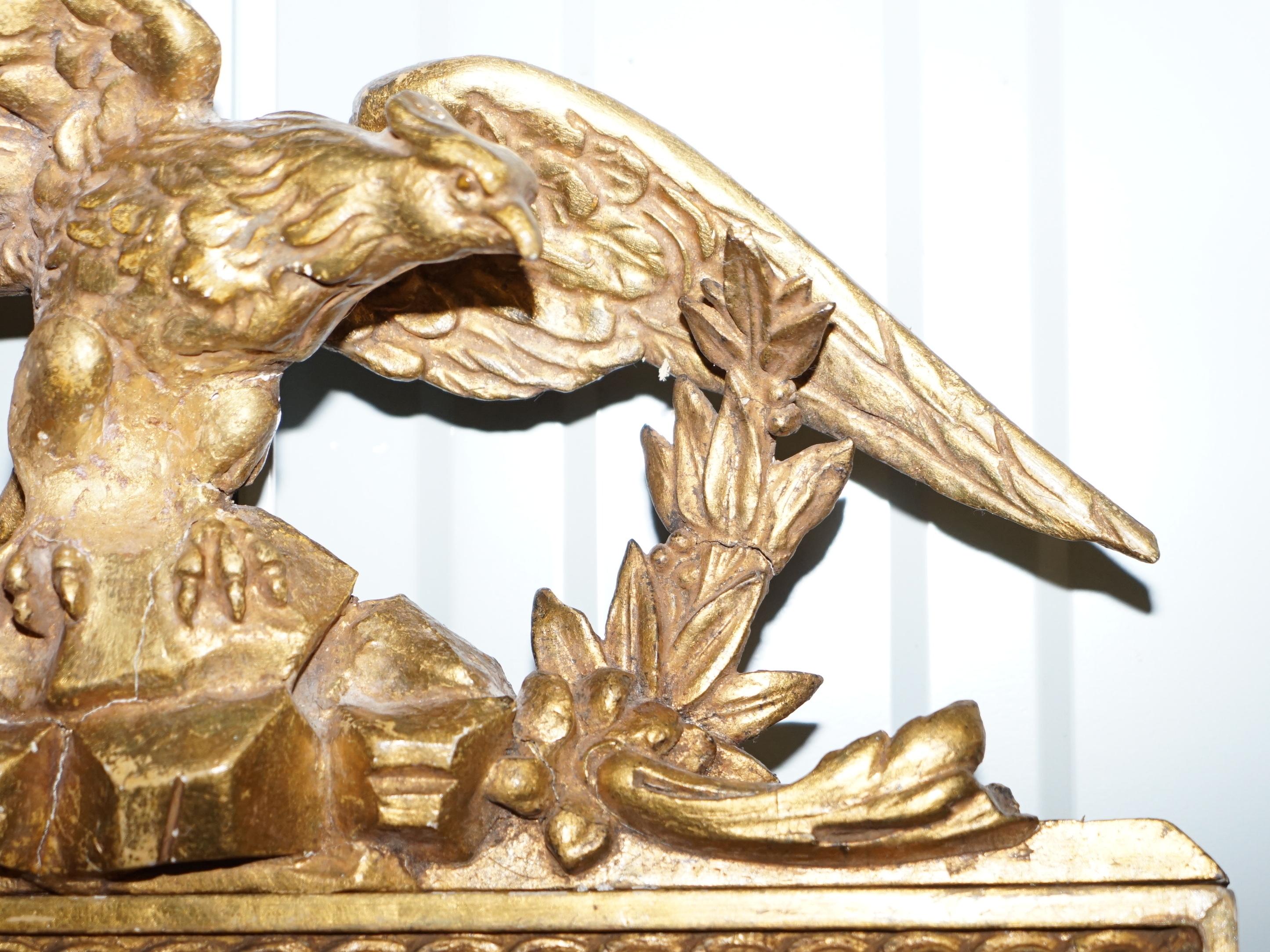 Early 19th Century Exquisite Regency Circa 1810-1820 Gilded Gesso Mirror Hand Carved Large Eagle For Sale
