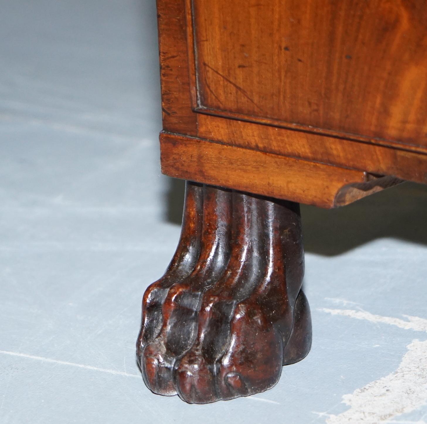 Exquisite Regency Period 1815 Hardwood Kneehole Desk with Lion Hairy Paw Feet For Sale 5