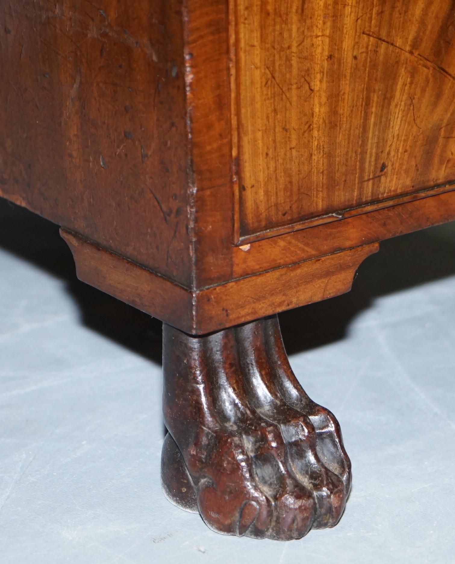 Exquisite Regency Period 1815 Hardwood Kneehole Desk with Lion Hairy Paw Feet For Sale 2