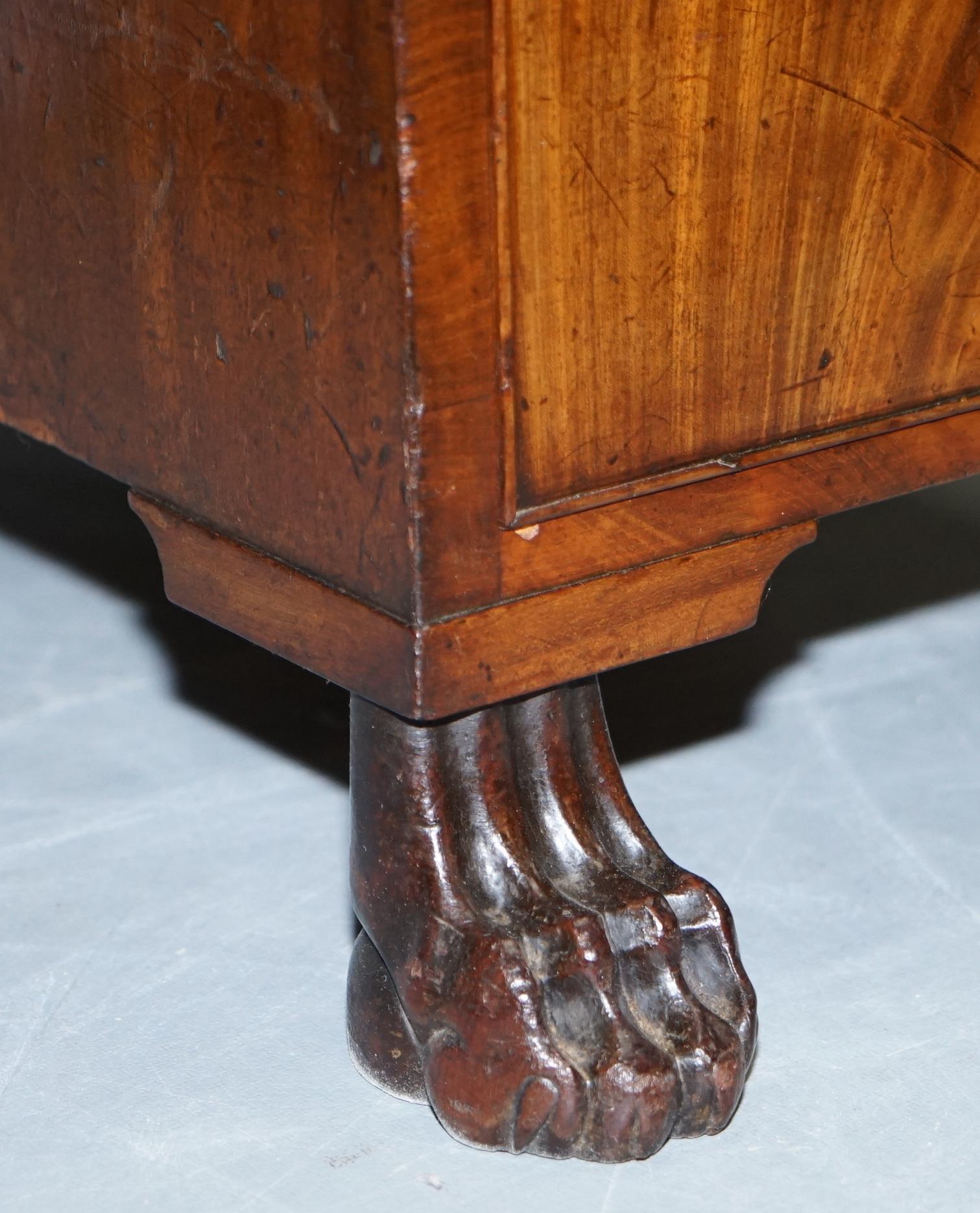 Exquisite Regency Period 1815 Hardwood Kneehole Desk with Lion Hairy Paw Feet For Sale 1