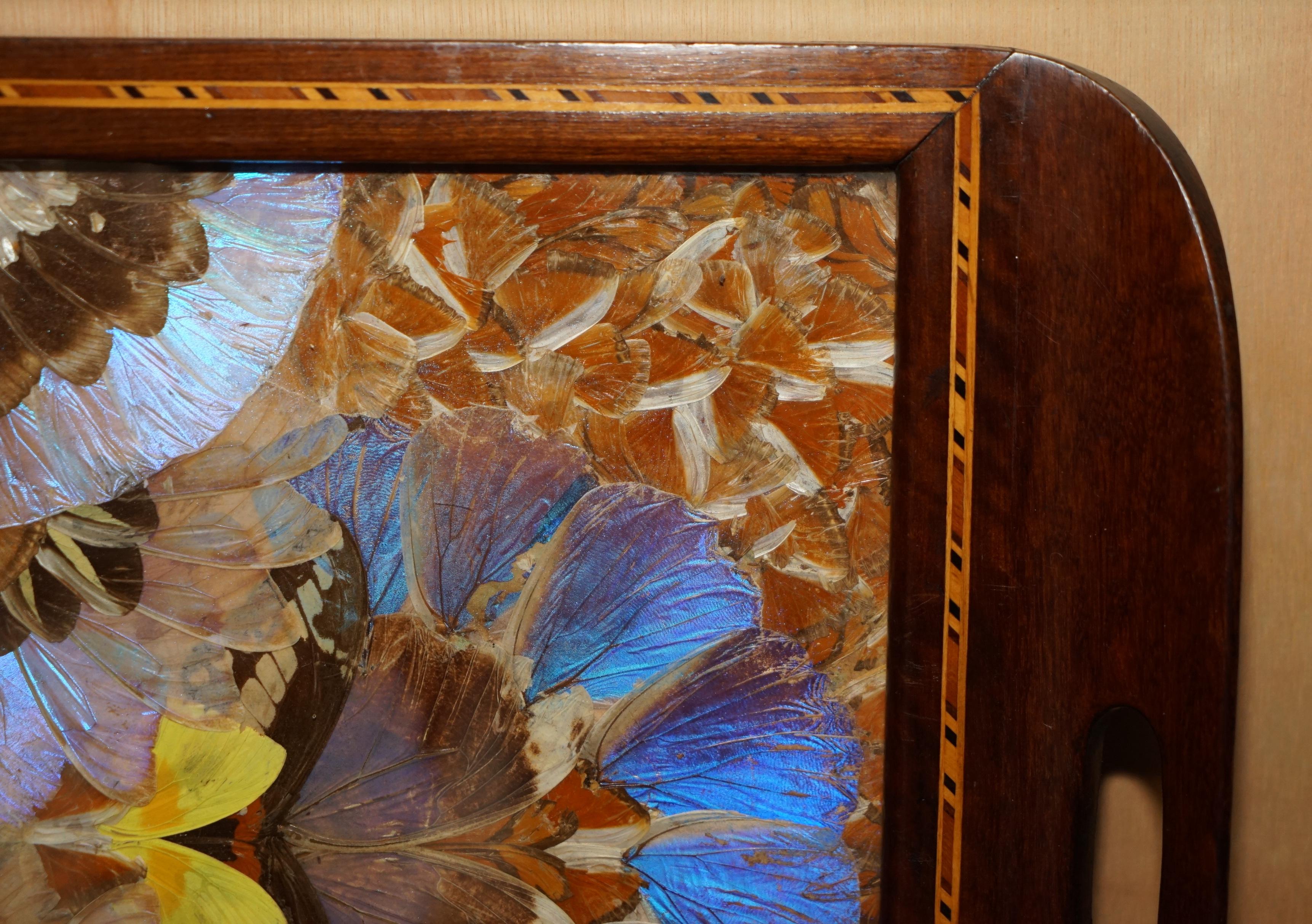 EXQUiSITE RIO DE JANEIRO BRAZILIAN HARDWOOD BUTTERFLY WING BUTLERS SERVING TRAY For Sale 3