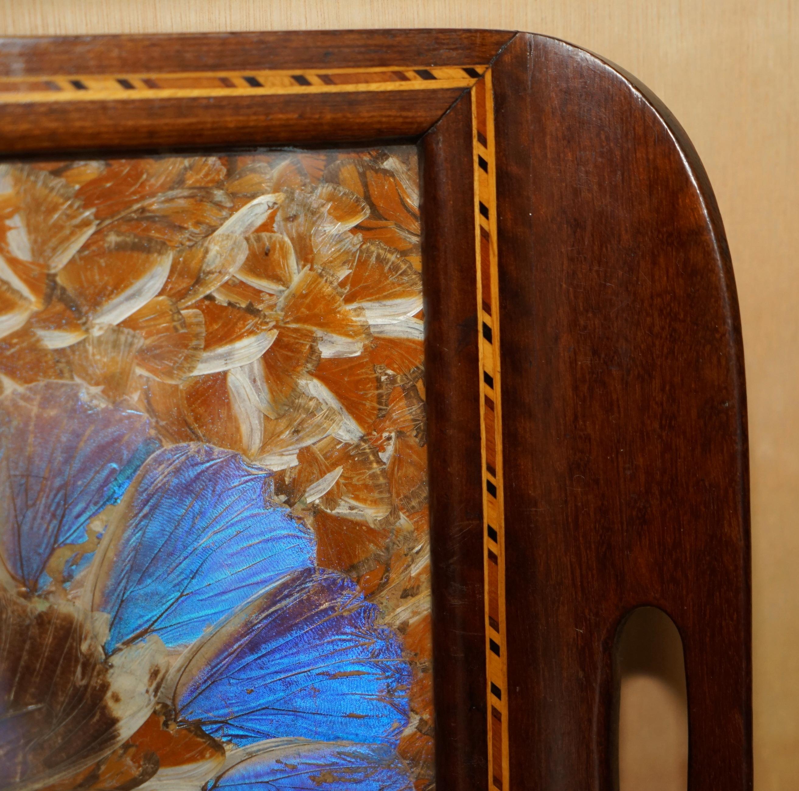 EXQUiSITE RIO DE JANEIRO BRAZILIAN HARDWOOD BUTTERFLY WING BUTLERS SERVING TRAY For Sale 8