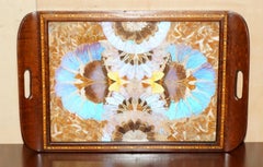 EXQUiSITE RIO DE JANEIRO BRAZILIAN HARDWOOD BUTTERFLY WING BUTLERS SERVING TRAY