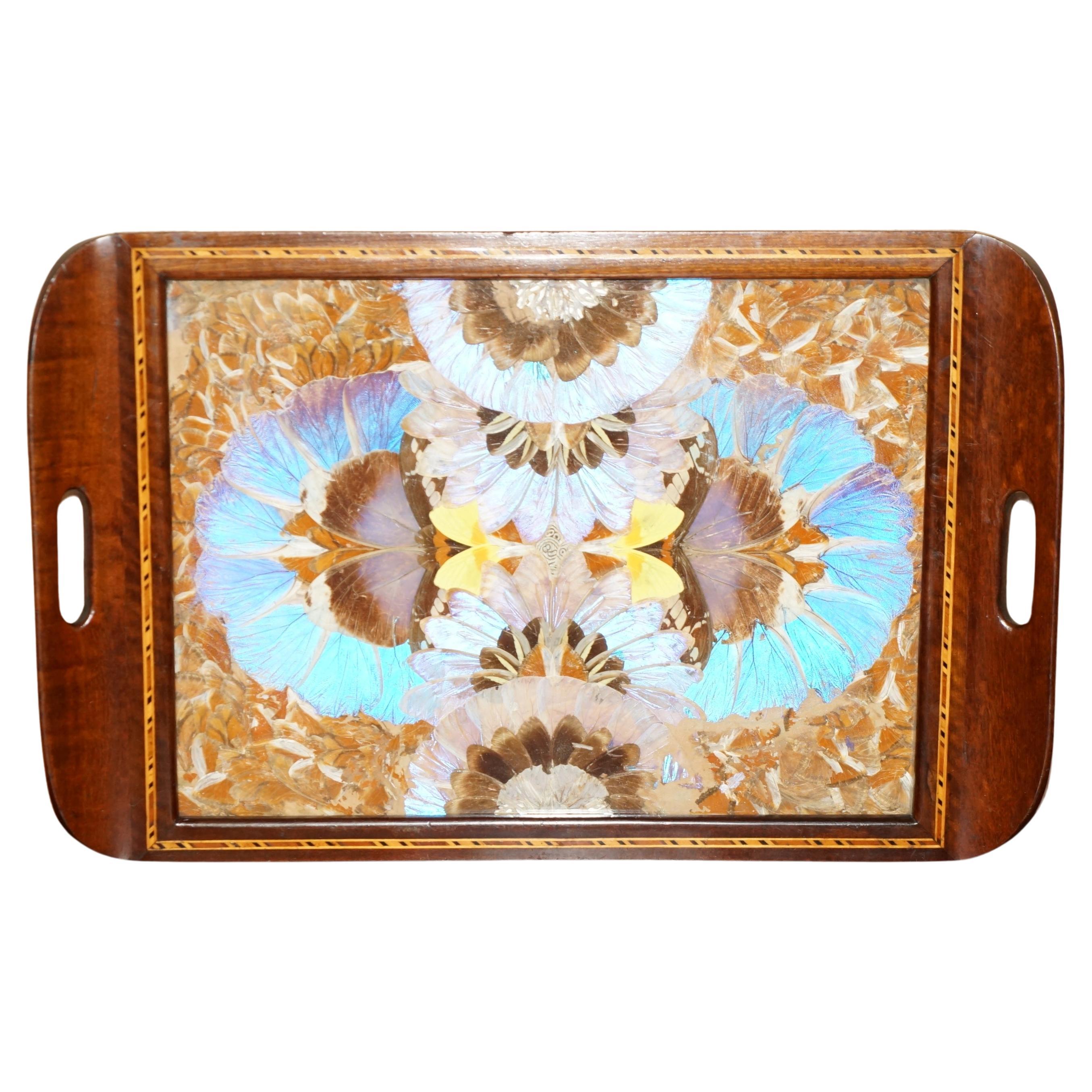 EXQUiSITE RIO DE JANEIRO BRAZILIAN HARDWOOD BUTTERFLY WING BUTLERS SERVING TRAY For Sale