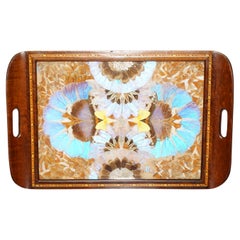 Antique EXQUiSITE RIO DE JANEIRO BRAZILIAN HARDWOOD BUTTERFLY WING BUTLERS SERVING TRAY