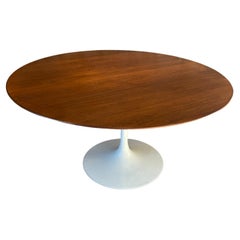 Exquisite Saarinen Knoll Tulip Round Dining Table in Walnut White Base 1970s
