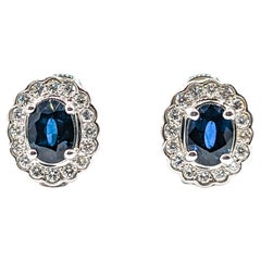 Exquisite Sapphire and White Diamond Earrings In White Gold