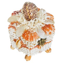 Exquisite Sea Shell & Coral Encrusted Treasure Box