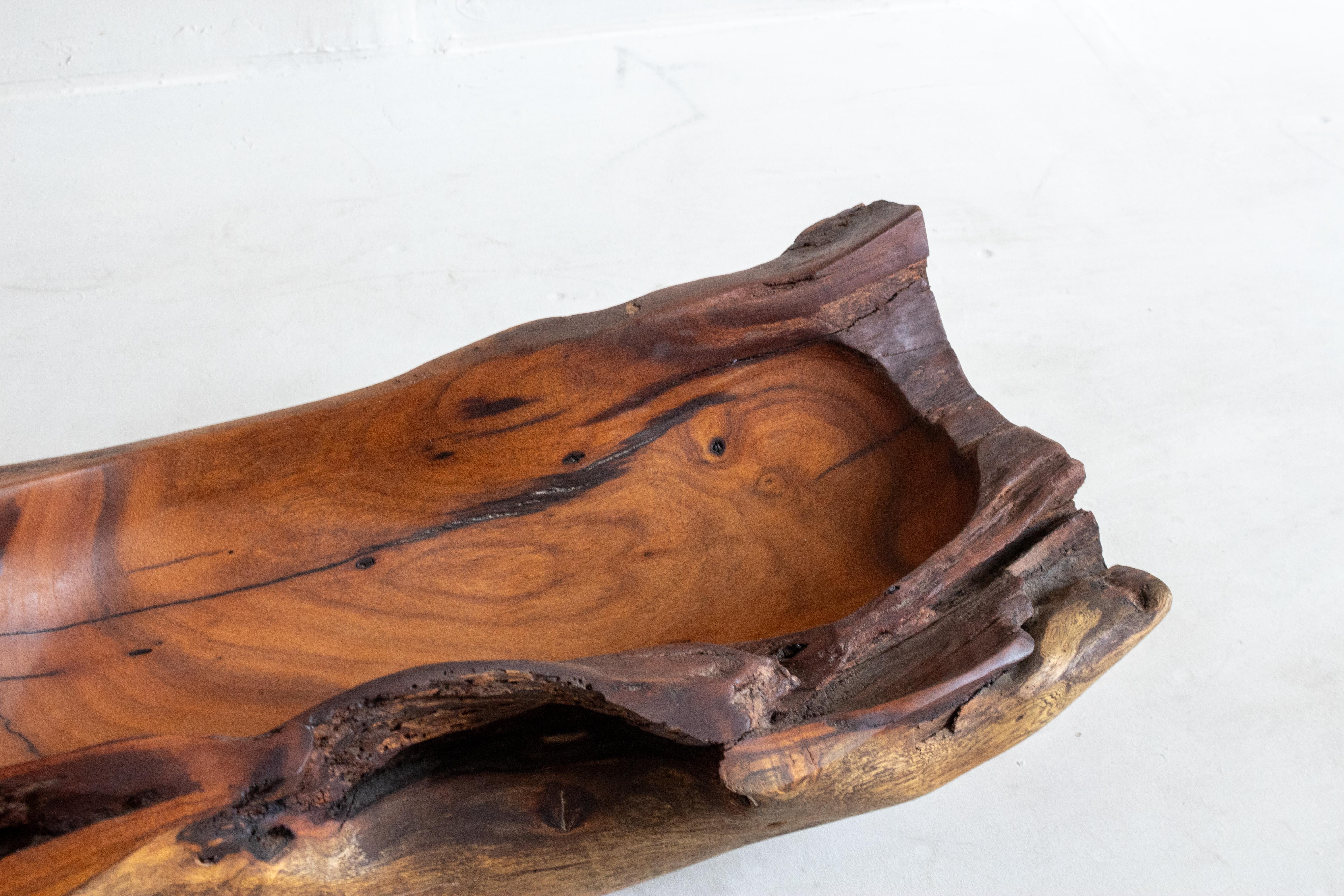 
Questa squisita ciotola rustica, intagliata a mano nel raro legno di jabin, emana un'eleganza senza tempo. Essendo un pezzo unico, è una testimonianza della maestria artigianale e dell'artigianato sostenibile che lo ha creato. T
Il legno,