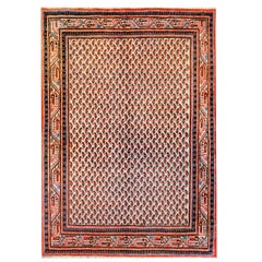 Exquisite Vintage Seraband Rug