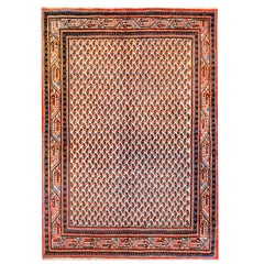 Magnifique tapis Seraband vintage