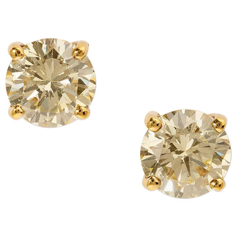 Exquisite Light Yellow Diamond Earrings in Yellow Gold For Sale