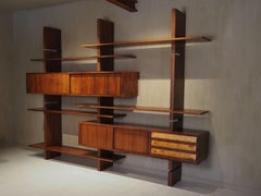 Modularer Wandschrank aus Rosenholz von Amma Torino, Extenso, 1962