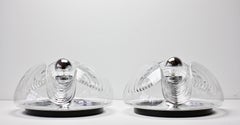 Extra Large 1970s Peill & Putzler Mid-Century Biomorphic Wall Sconce / Light